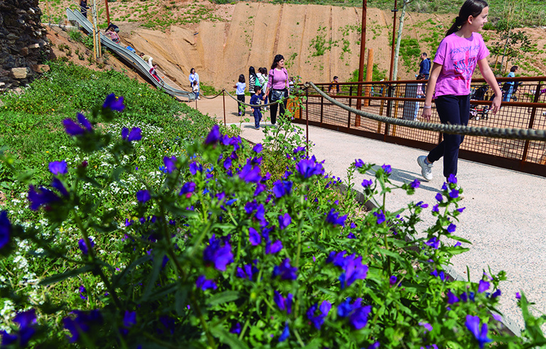 Parc ambiental de la Torre de la Vila