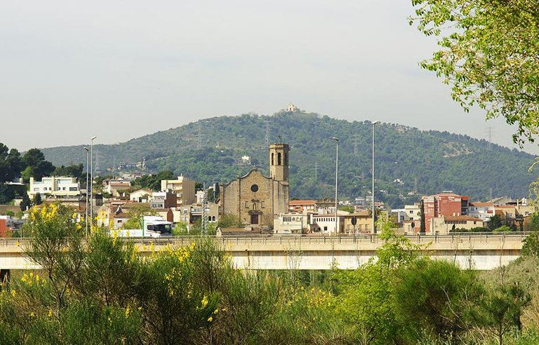 Vista general de Sant Boi, amb arbres en primer terme i la muntanya al fons