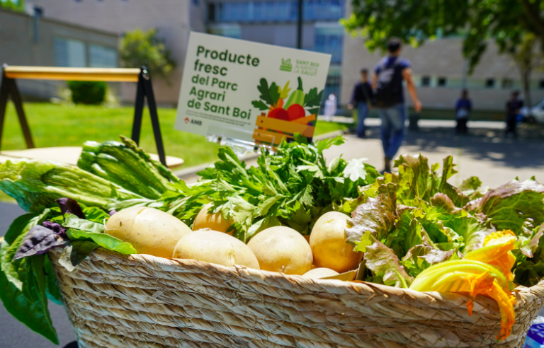 Cistella Grups de Consum SB Alimenta la Salut