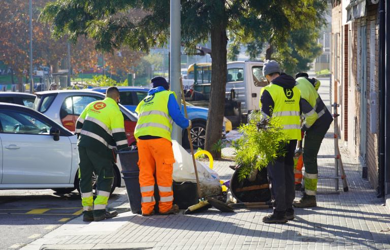 Plantada d'arbres a l'avinguda de l'Aragó