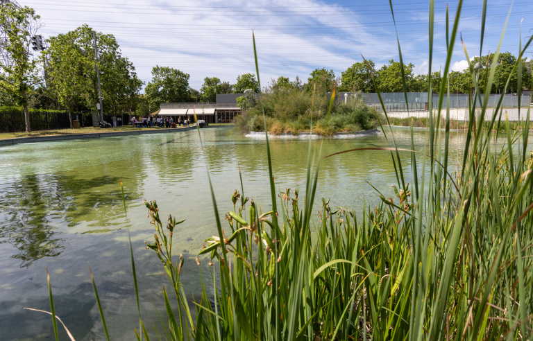 El llac, amb el restaurant Hernández al fons